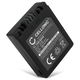 1x Akku CGA-S002e CGA-S002e-1B CGR-S002 DMW-BM7 (680 mAh, 7,4 V)