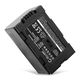 1x Akku CGA-D54 CGR-D120 -D220 (2200 mAh, 7,4 V)