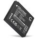 1x Akku DMW-BCF10E CGA-S106 CGA-S009 (700 mAh, 3,7 V)