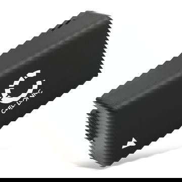 BP-DC9 Battery for Leica V-LUX 2 V-LUX 3 800mAh Camera Battery Replacement BP-DC9