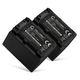 2x Akku NP-FV70 NP-FV100 (1500 mAh, 7,4 V)