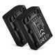 2x Akku NP-FV50 NP-FV70 NP-FV100 (650 mAh, 7,4 V)