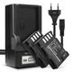 2x Akku DMW-BLF19 DMW-BLF19e DMW-BLF19pp (2000 mAh, 7,4 V) + laturi
