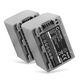 2x Akku NP-FP50 NP-FH50 FH30 FH70 (1360 mAh, 7,4 V)
