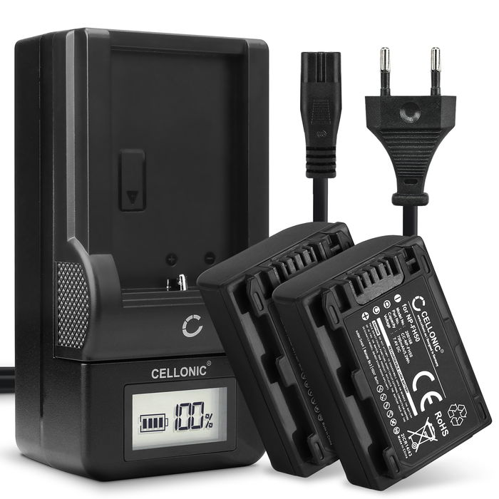 2x Sony DCR-SX30E Battery 700mAh + Charger from Cellonic