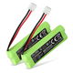 2x Akku GPHC05RN01 (400 mAh, 2,4 V)