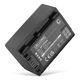 1x Akku NP-FV70A NP-FV50A NP-FV30 NP-FV90 NP-FV100A (1030 mAh, 7,2 V)