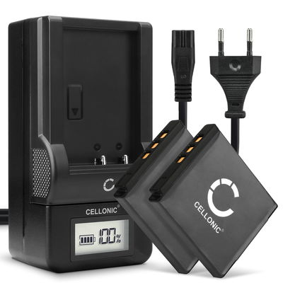 2x D-Li68 Camera Battery + Charger Set for Pentax Q Q7 Q10, Pentax Optio VS20 S12 S10 A40 A36, Ricoh WG-M2 700mAh Replacement Battery LCD Smart Charger