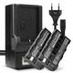 2x Akku NP-F550 F330 F750 (2600 mAh, 7,4 V) + laturi