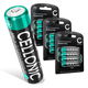 12x Akku (1000 mAh, 1,2 V)