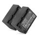 2x Akku NP-FV70A NP-FV50A NP-FV30 NP-FV90 NP-FV100A (1030 mAh, 7,4 V)